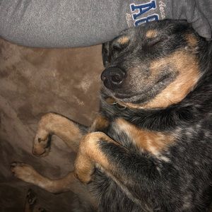 Meet your Posher, Jason